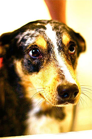 08Ot-Roxy-13i