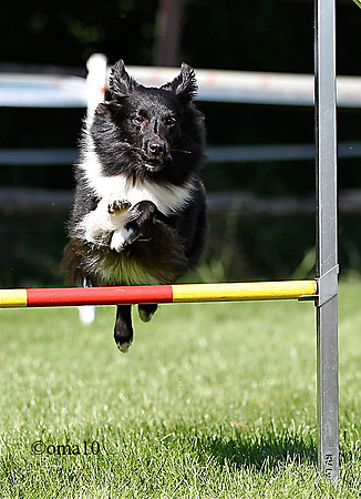 10Ot-Agility-39ic