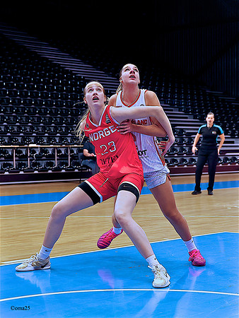 251115 Swiss-Norway 15c