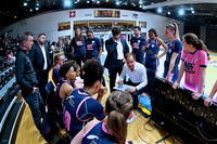 250425 Elfic-Nyon 20c