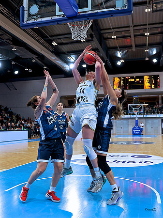 231012 Elfic Emlak 49c