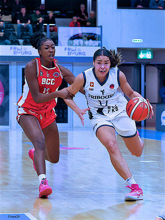 261015 Elfic-BCC 18c
