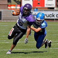 11Sp-Sw-Bowl-04ic