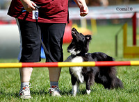10Ot-Agility-08ic