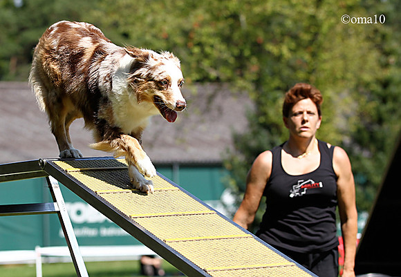 10Ot-Agility-09ic