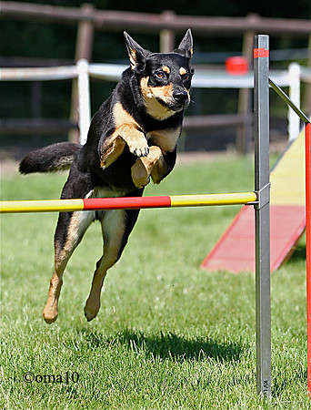 10Ot-Agility-49ic