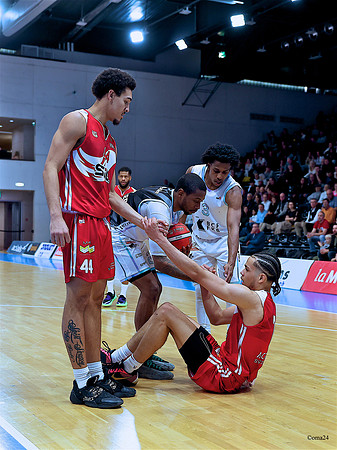 241221 Oly-Foxes 43c