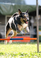 10Ot-Agility-10ic