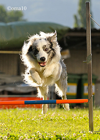 10Ot-Agility-30ic