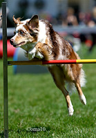 10Ot-Agility-04ic