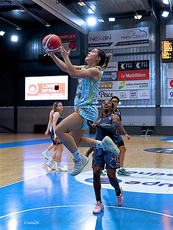 241208 Elfic-Riva 24c