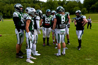 190615 Jets 09 Kopie