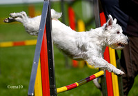 10Ot-Agility-05ic
