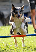 10Ot-Agility-19ic
