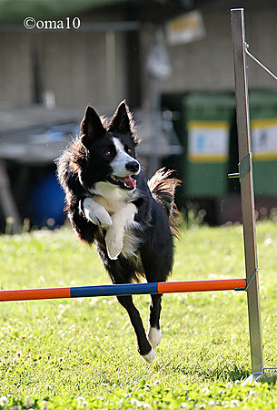 10Ot-Agility-22ic